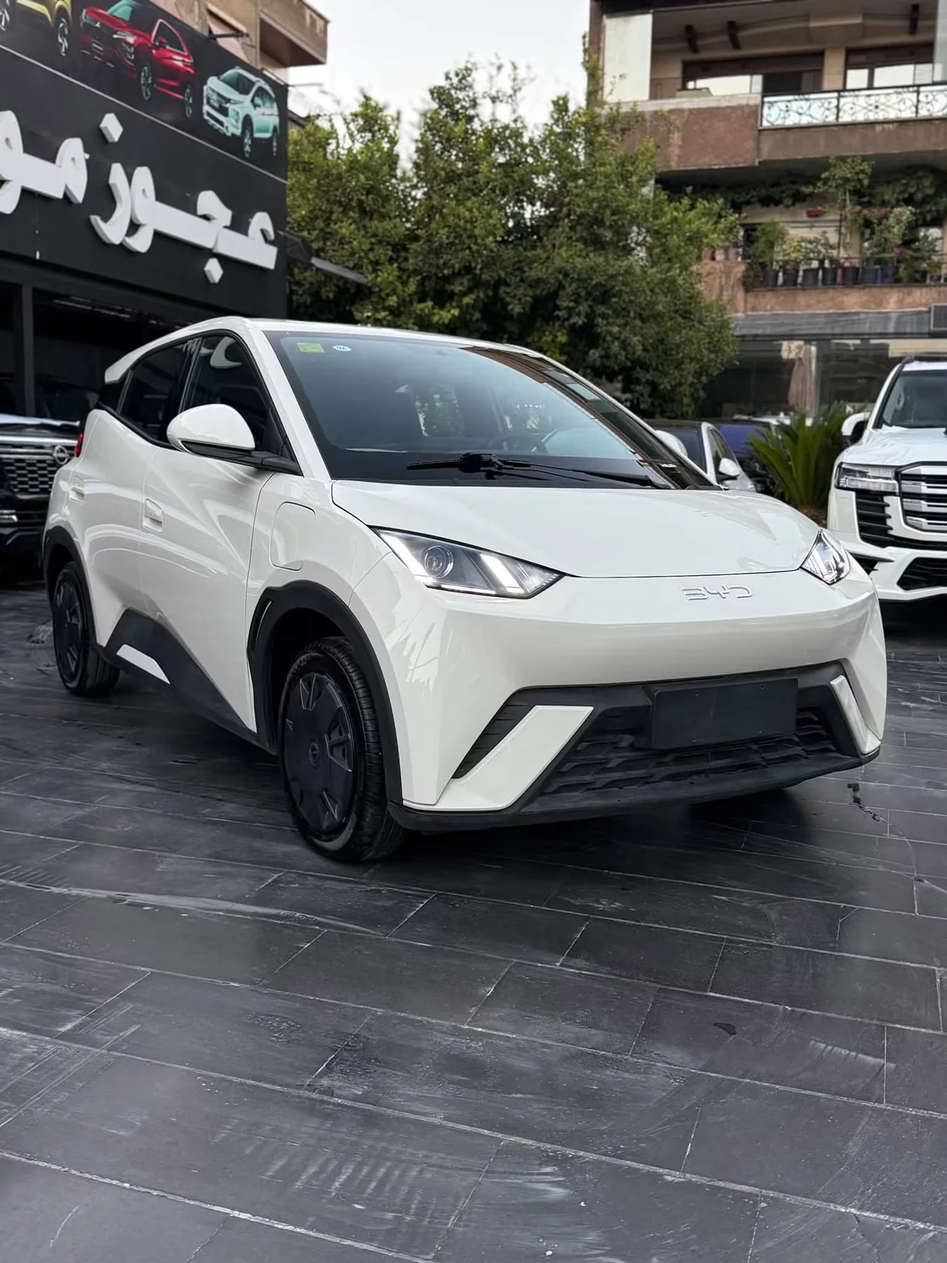 BYD Seagull - دمشق - صورة 3
